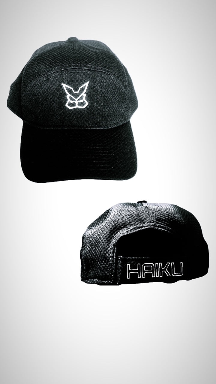 7-Panel BlackHat